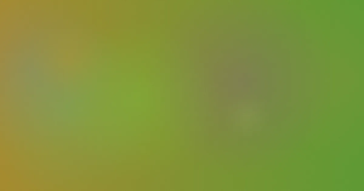 在线观看美女视频怎么用